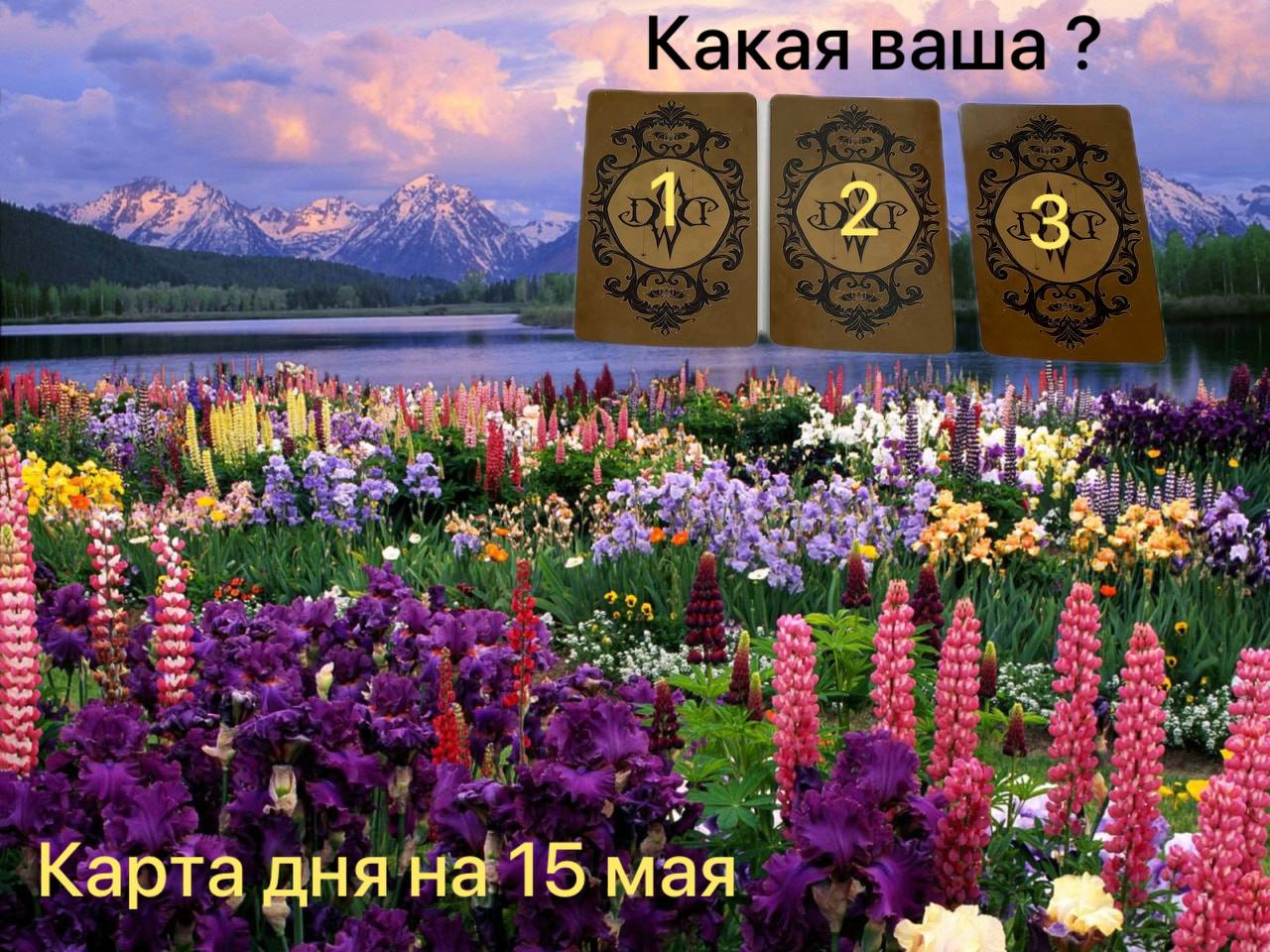 КАРТА ДНЯ НА 15 МАЯ.  ТАРО ПРОГНОЗ. Выбирайте вариант 1, 2, 3, ставьте лайк ? для сохранения баланс
