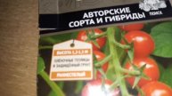 N-2✔???✔ ВЗОШЛИ ТОМАТЫ. / СОРТА/ ЧТО ДЕЛАТЬ ДАЛЬШЕ?/БУДУЩИЕ МАТЕРИНСКИЕ РАСТЕНИЯ. /