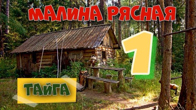0826 - МАКАРЫЧ В ТАЙГЕ _ ТАЁЖНАЯ МАЛИНА _ МЕДВЕДЬ В КУСТАХ _ ЖИЗНЬ В ЛЕСУ 1