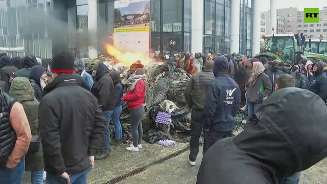 Фермеры в Брюсселе прорвали полицейскую блокаду на тракторах