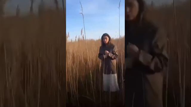 В Дагестане девушки устроили фотосессию среди камышей, а полицейские подумали, что они ищут закладку