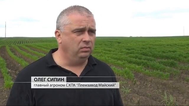 О непростой ситуации сельского хозяйства в Вологодском районе