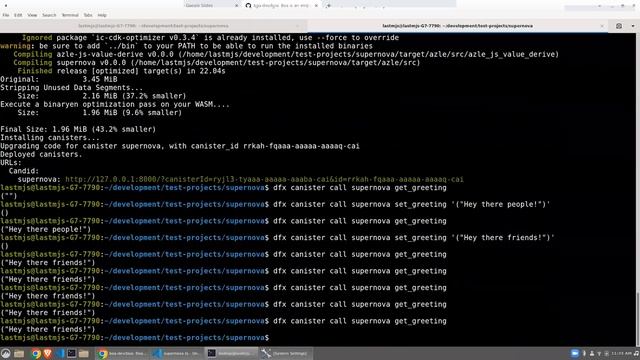 Supernova Hackathon | Workshop #9: Developing Canisters in TypeScript