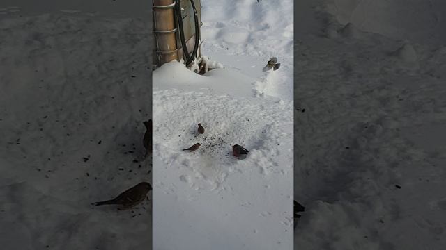 Сюрприз для меня♥️.