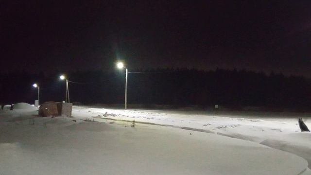 VID_20230113 Чупс и зайцы