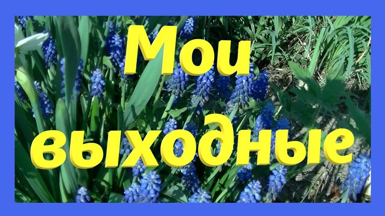 Мои выходные. Жарю шашлык.В поисках клада с Дашей Соболевой.