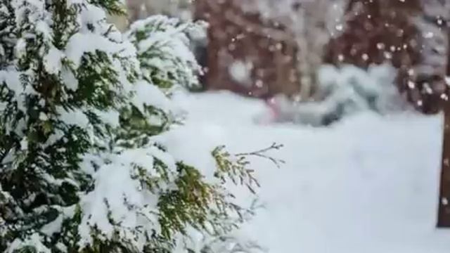 НАРОДНЫЕ ПРИМЕТЫ НА 27 ФЕВРАЛЯ – ДЕНЬ КИРИЛЛА