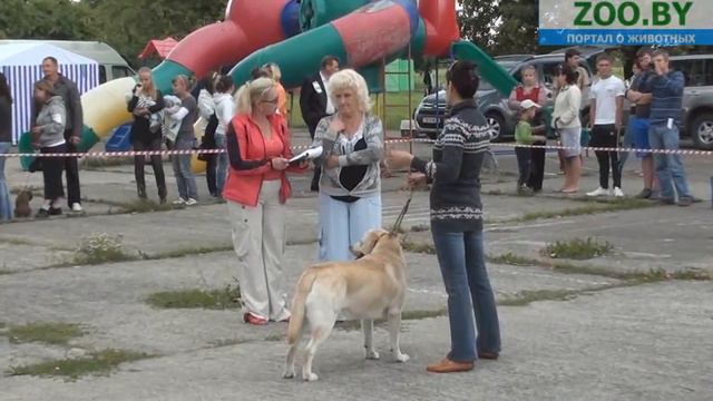 Видео-микс с выставки!