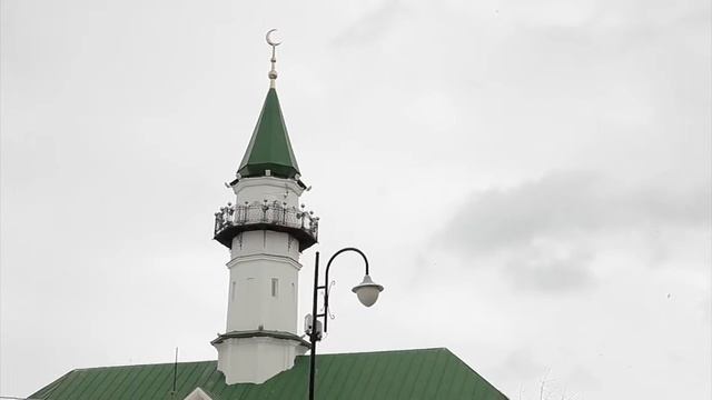 Видеодневник