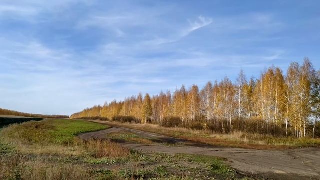 На машине мимо осенней посадки (футаж без АП)