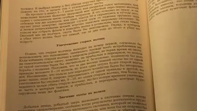 Охотничьи просторы