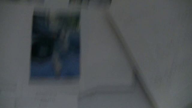 Доска объявлений о животных в  августе 2021года.