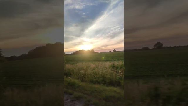 Лето 🌞🌴🏄🎇