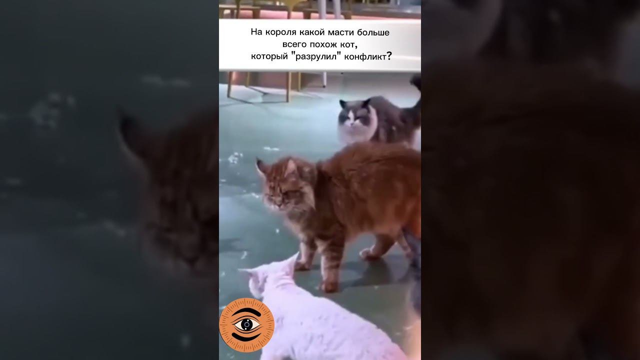 Энергии Короля мечей!