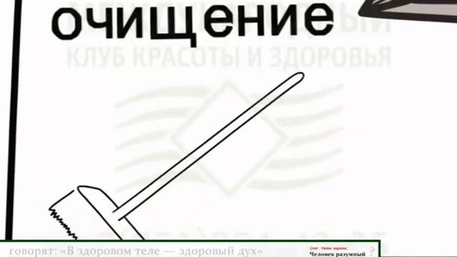 Концепция здоровья за 5 мин.