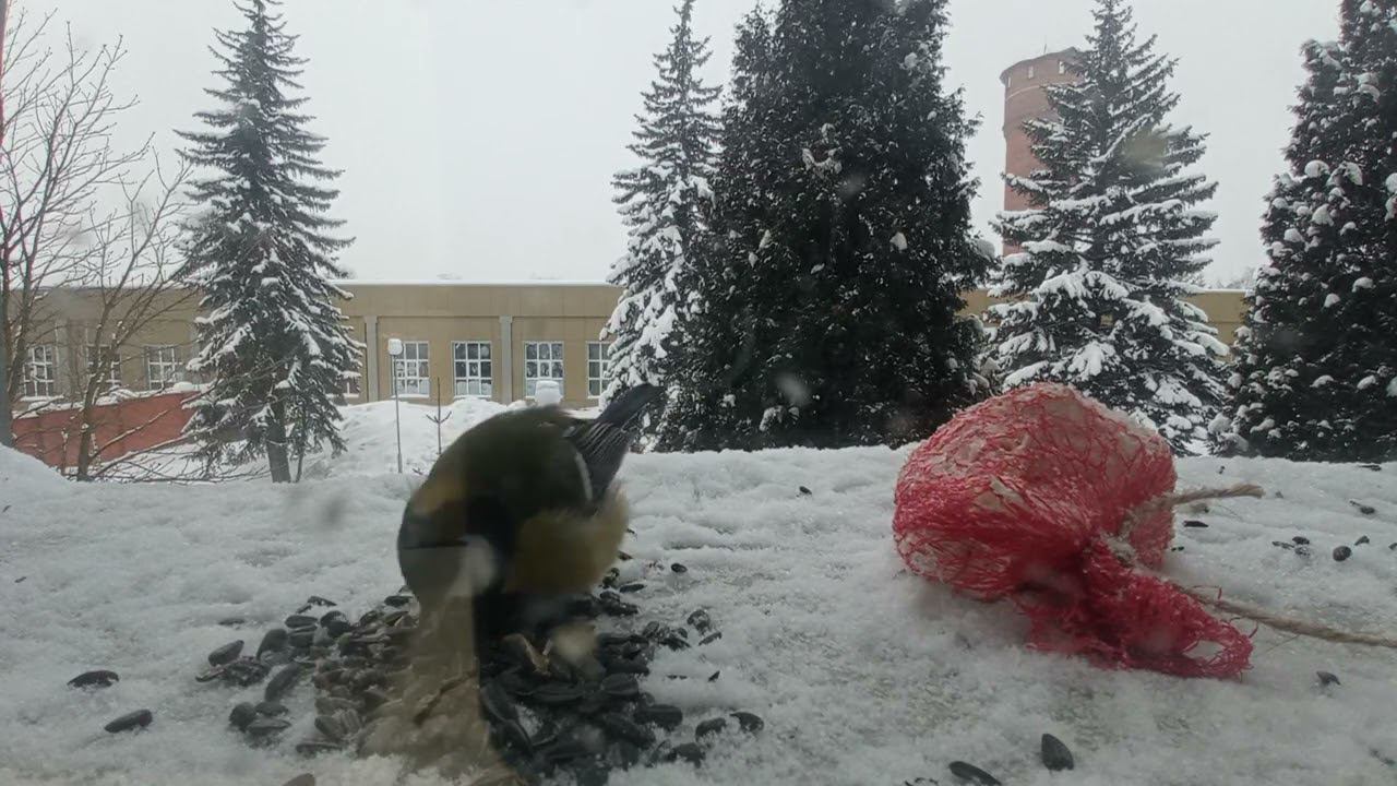 9 декабря 2023 г.(1)