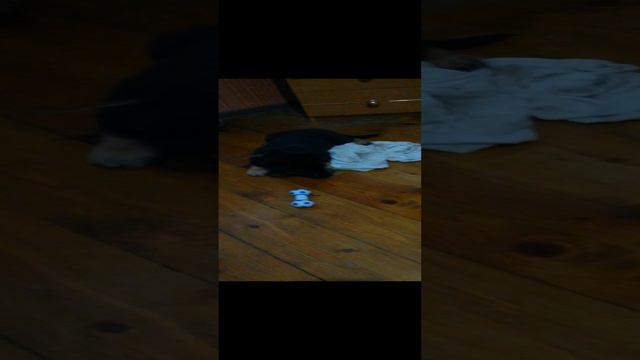 VID_20190205_171354