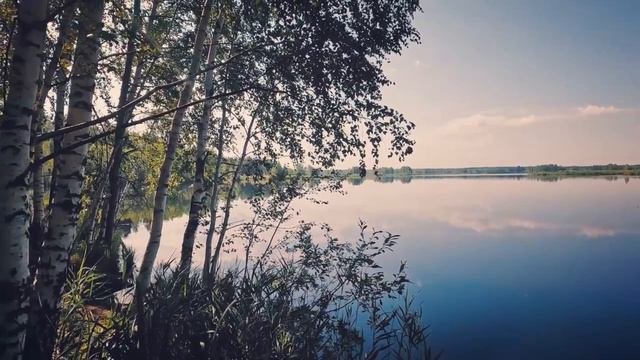 Мое видео