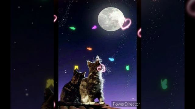 Красивое пожелание доброй ночи 🌙 🌙 🌙relax music 🎶 🎵