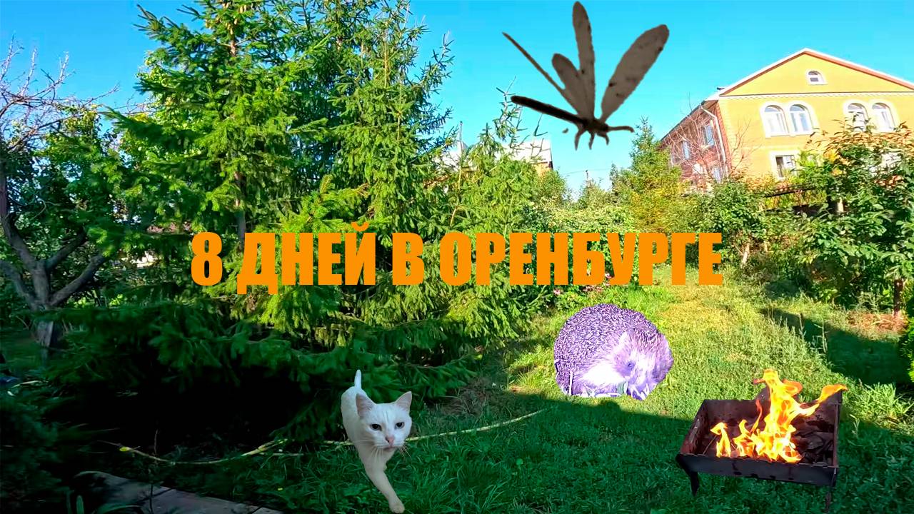 ВЛОГ - 8 ДНЕЙ В ОРЕНБУРГЕ У БАБУШКИ!