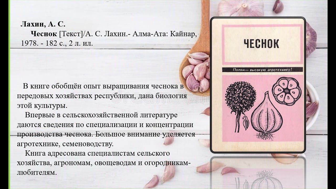 Кн  Чеснок и лук   нам лучший друг!!