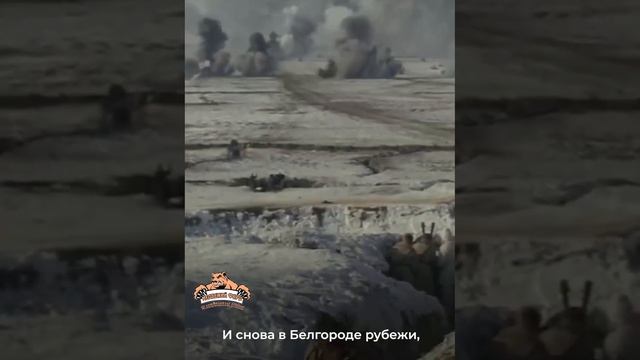 Саратовец Салават Дасаев исполнил новую песню в поддержку российских солдат в зоне СВО!