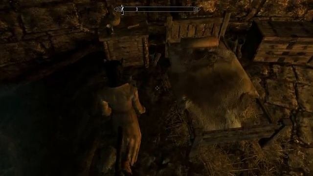 TESV Skyrim Гильдия Воров