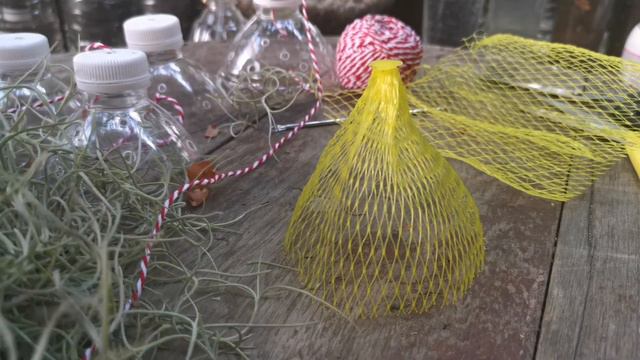 DIY Spanish Moss With Bottle&net, Tillandsia Usneoides Decoration Idea,DIYเคราฤาษีกับขวดน้ำและถุงผั