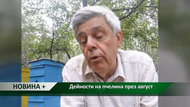 Новина плюс: Дейности на пчелина през август, автор: Камелия Карадочева