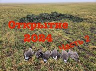 Удачное открытие весенней охоты на гуся 2024!!! Часть 2