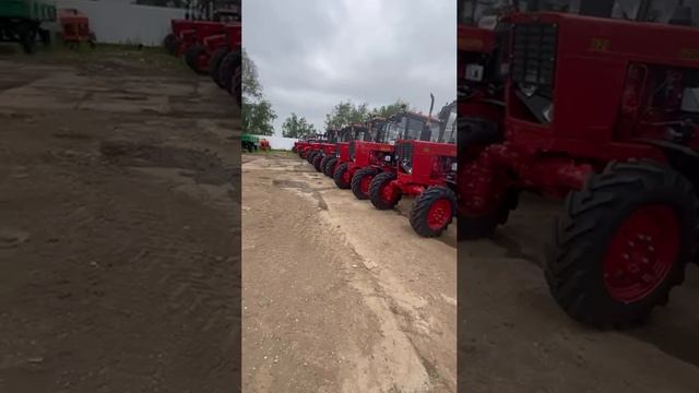Новое поступление тракторов МТЗ 82 Беларус в Доминант Видное Московская область