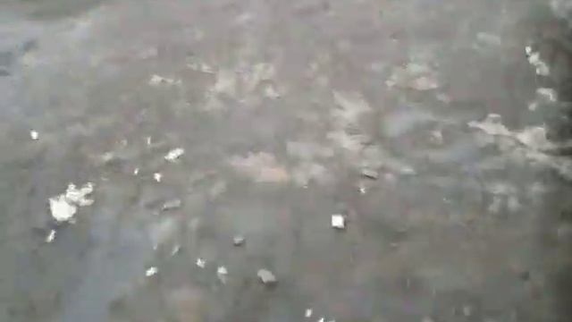 Stels Flame 200 - Покупка