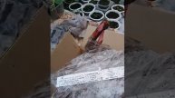 Интернет магазин Русский огород!!посылка 2