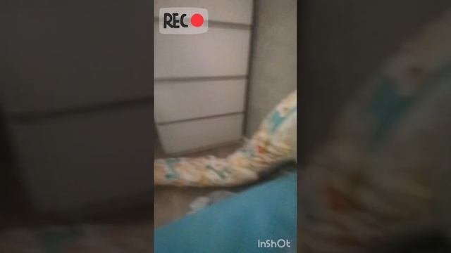 закулисье уровень 99. 11 " 2 ДОМ"