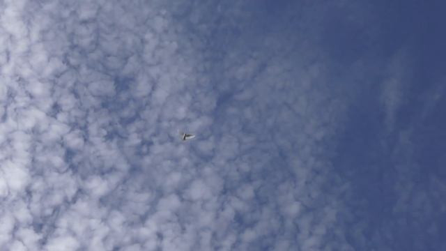 Только белые голуби Командировка.Only white doves Business trip.