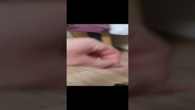 А ваша Кошка может так же?Дрессированная кошка , лучше собаки))) Прикол 2024 ??лучшая кошка)