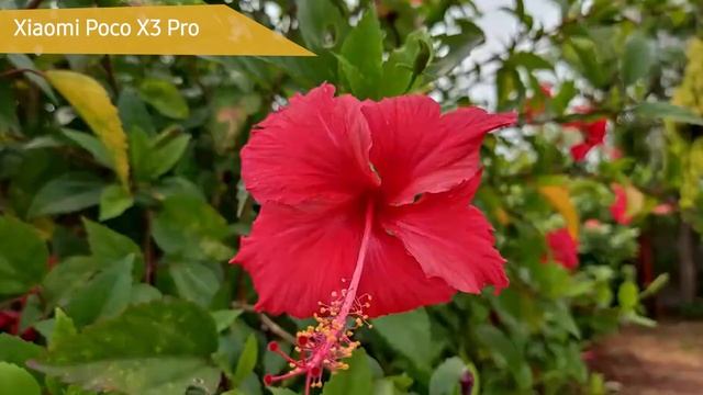 Смартфон Xiaomi Poco X3 Pro