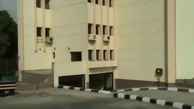 Luxor trip. Egypt. Луксор. Египет.