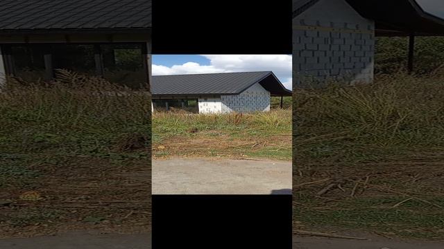 VID_20240916_120644