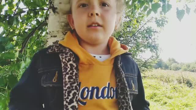 Гой ты, Русь моя родная! С. А. Есенин