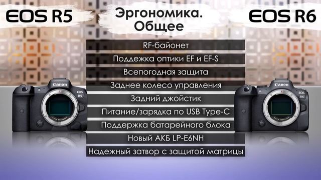 Canon EOS R5 и R6. Сравнение эргономики - общее и различия
