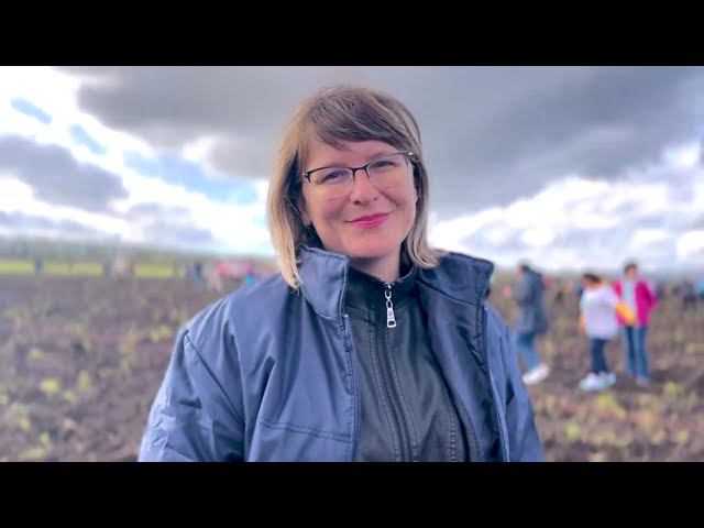 Сквер славы в честь освободителей Донбасса пгт Мостовской 2022 год