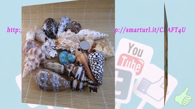 Seashell Crafts For Seniors