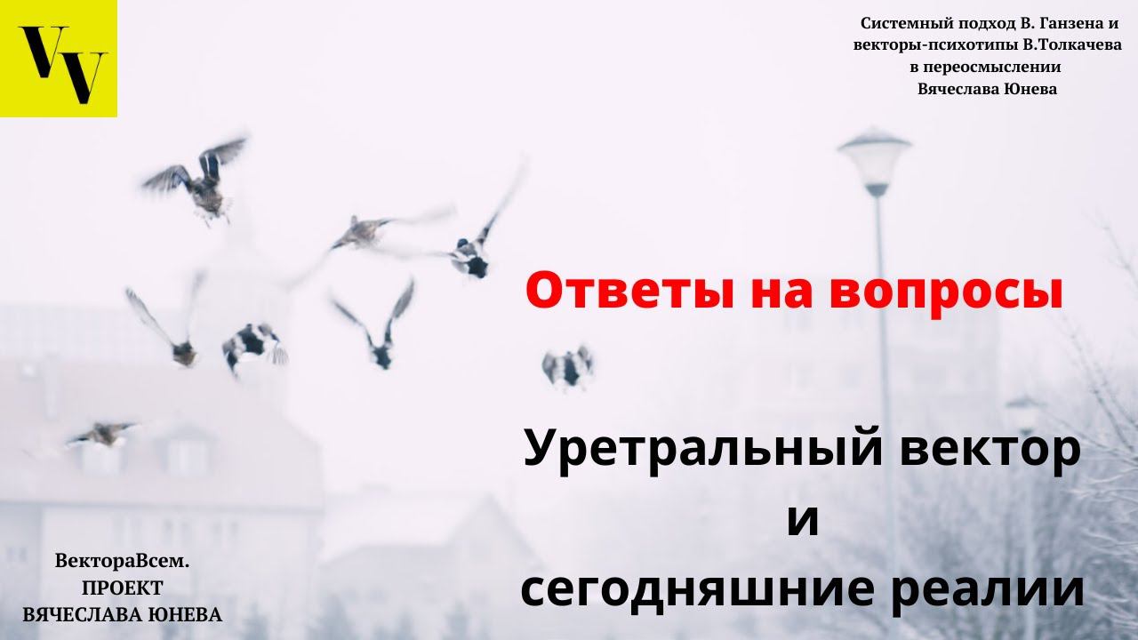 Уретральный вектор и сегодняшние реалии.  ВектораВсем.  Проект Вячеслава Юнева