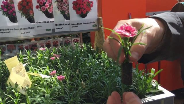 Хозяйственный ВЛОГ✯Рынок, магазины✯Очки для резки лука?✯Покупки