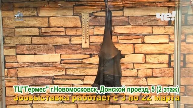 Зоовыставка «Живые тропики»