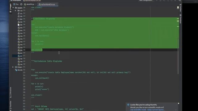 Python Mysql Bağlantı Temel İşlemler