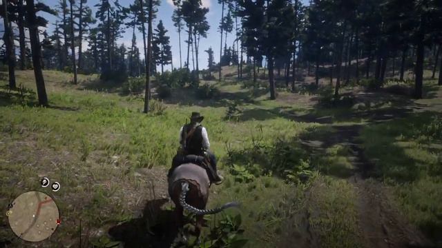 Red Dead Redemption 2
1000048457.mp4