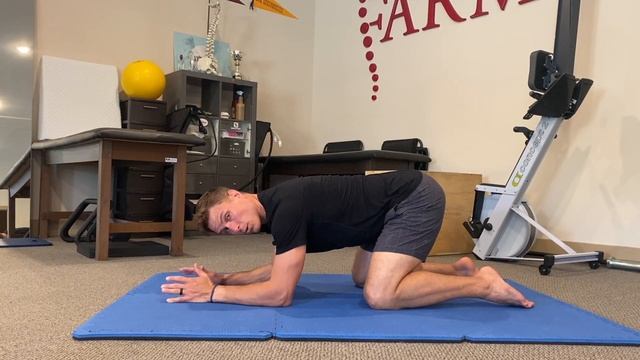 DNS Low Bear (Dynamic Neuromuscular Stabilization)