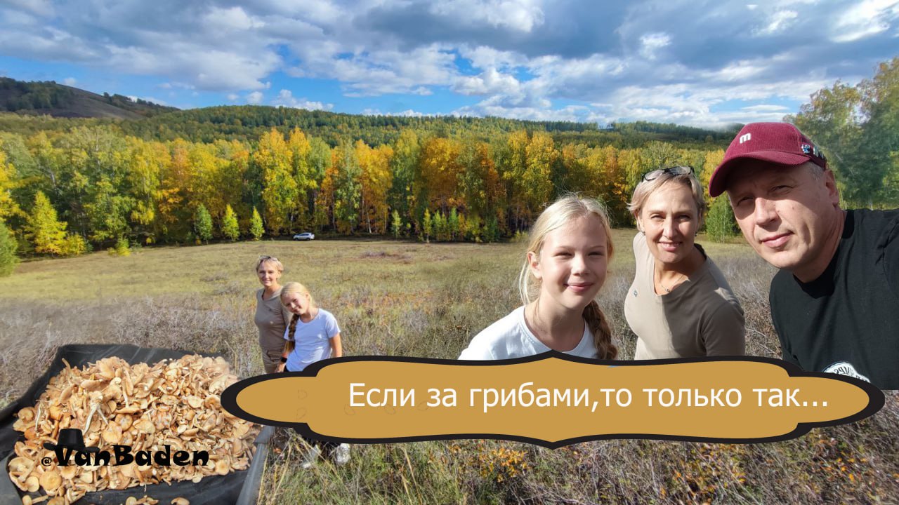 За опятами